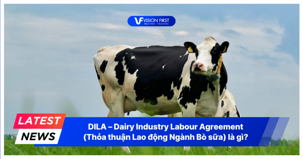 dila-dairy-industry-labour-agreement-la-gi
