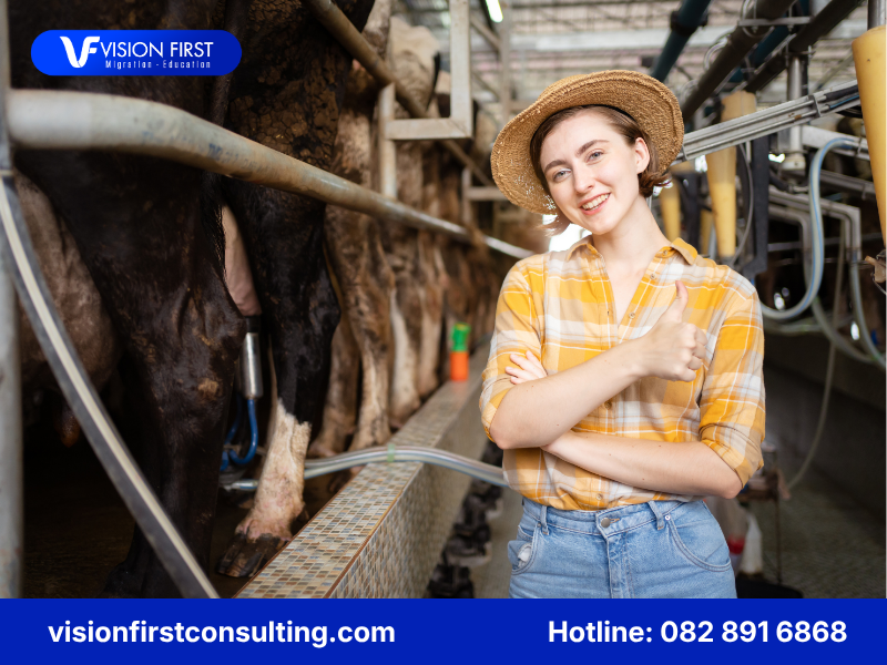 nganh-dairy-farm-thuong-thuoc-dong-nao-trong-cac-dong-visa-482-uc