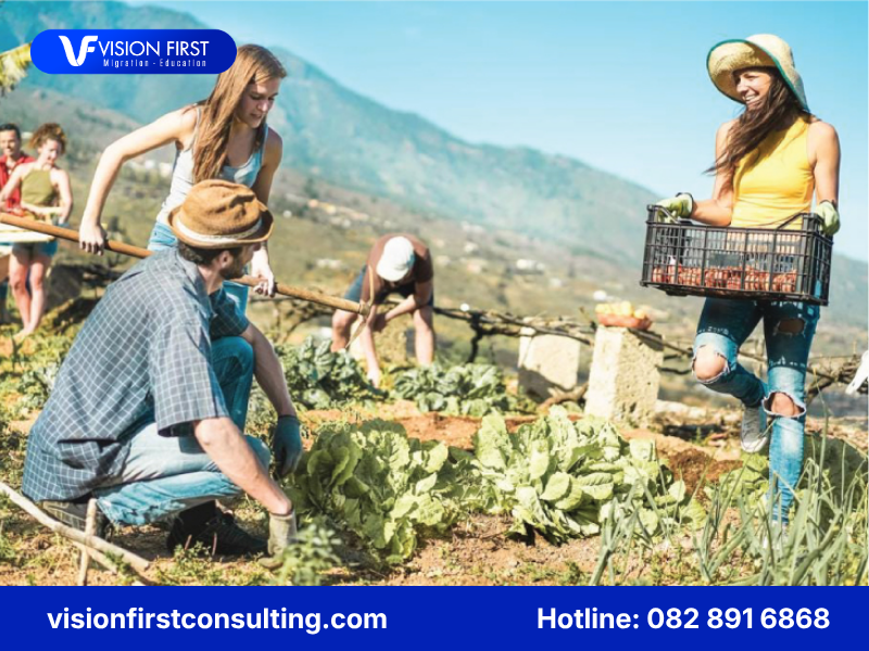 working-holiday-duoc-kiem-soat-theo-huong-chon-loc-hon